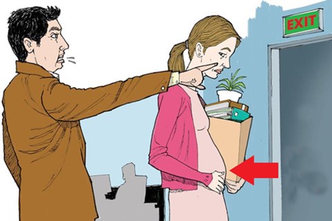 nguoi vua nghi thai san co bi cham dut hop dong lao dong khong