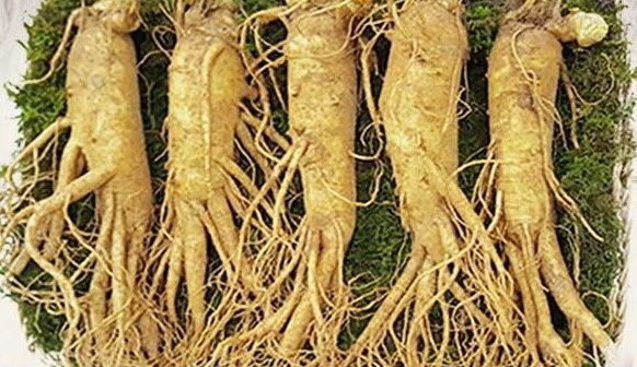 cong bo chat luong sam